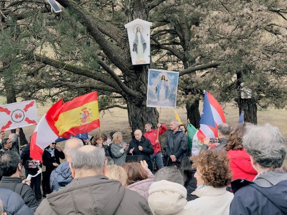 Miembros de la Iniciativa con banderas junto a los Pinos